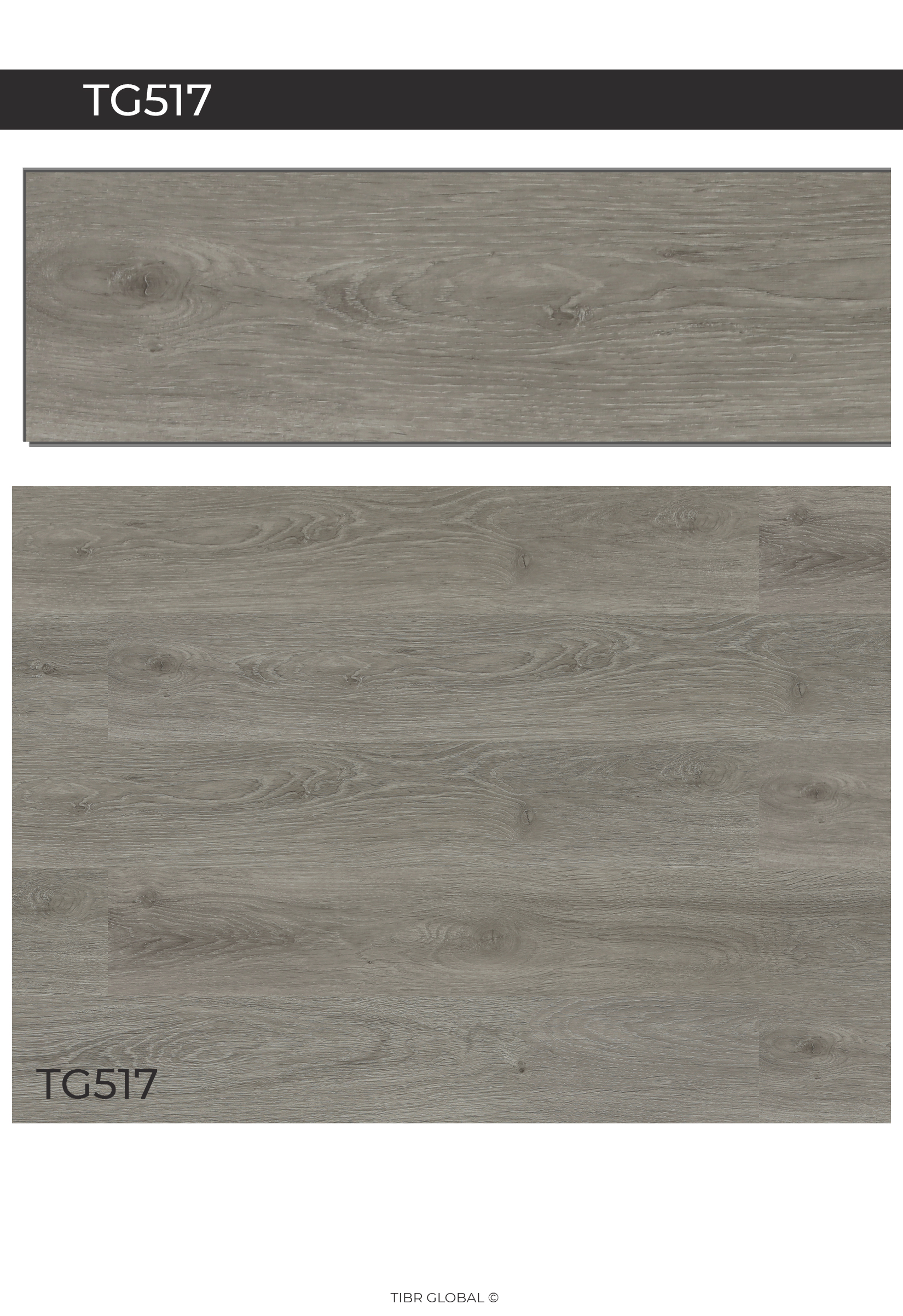 TG517